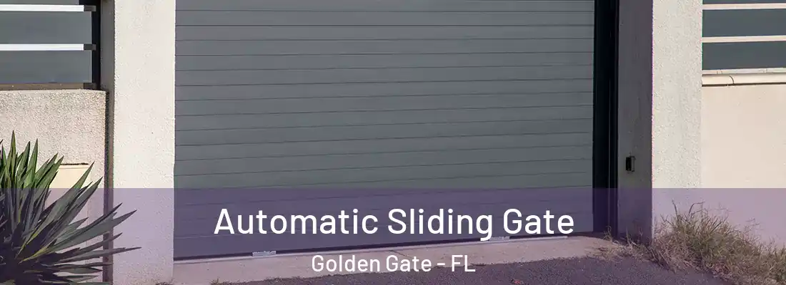 Automatic Sliding Gate Golden Gate - FL