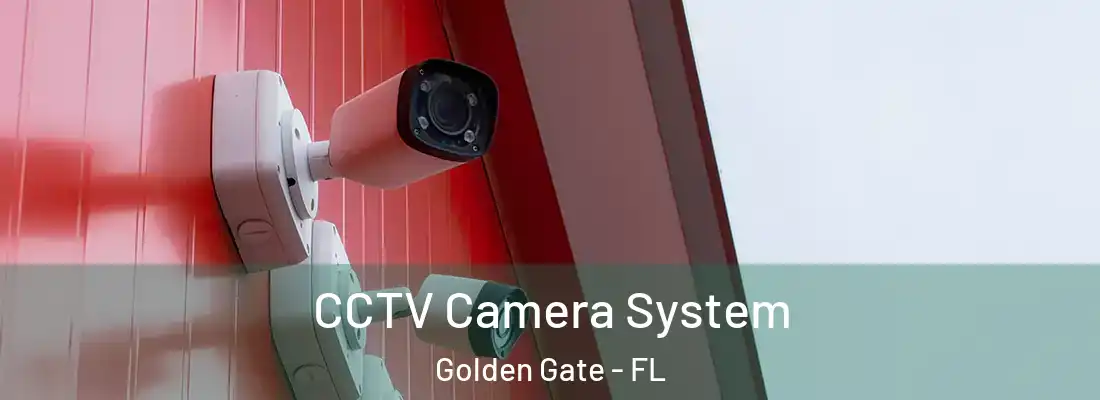  CCTV Camera System Golden Gate - FL