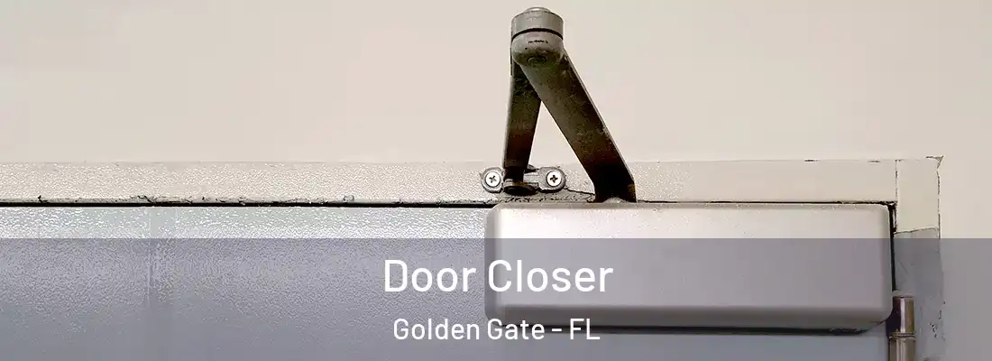 Door Closer Golden Gate - FL