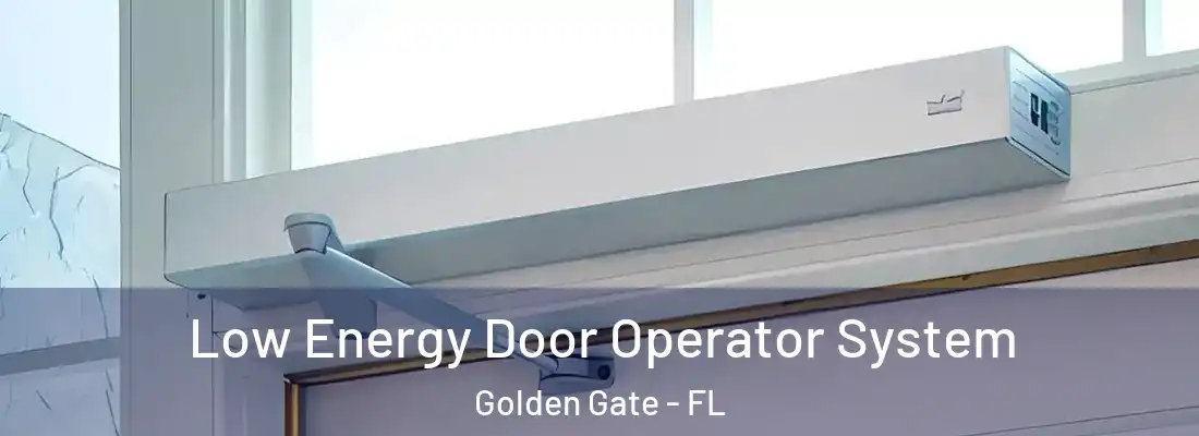 Low Energy Door Operator System Golden Gate - FL